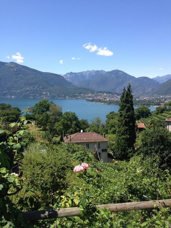 Cs Casa Serena Gambarogno Rum bild